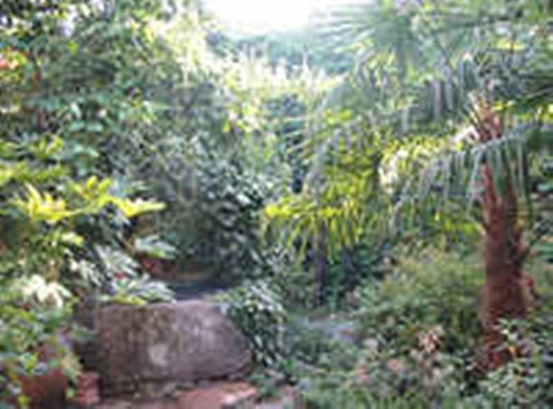 Casa Rural Corvina Acebo Bagian luar foto
